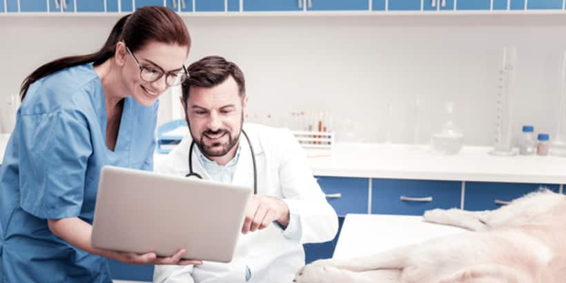 Veterinary Assistant
